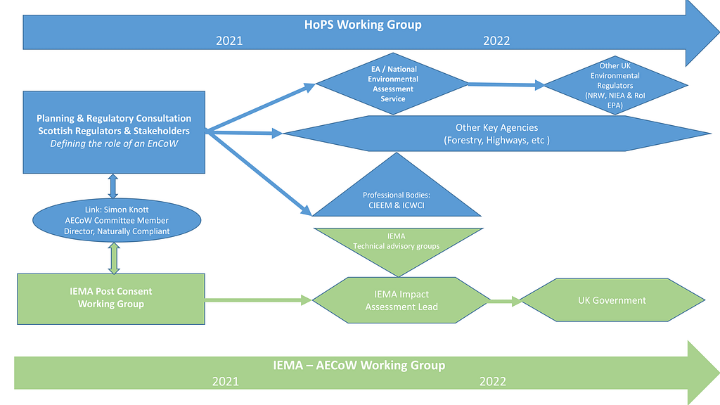AECoW_Consultation_Strategy_Flow_Chart_Draft